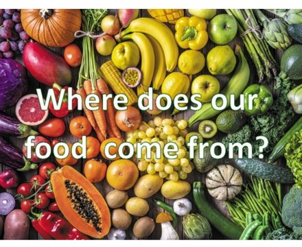 Where does our food come from PDF pic