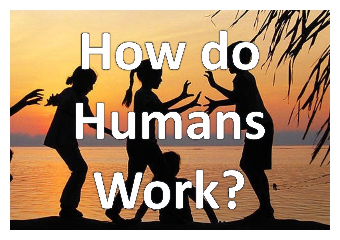 How do Humans work PDF pic