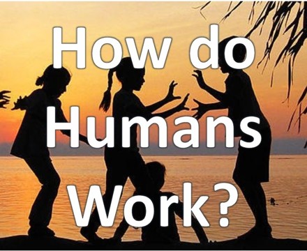How do Humans work PDF pic