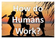 How do Humans work PDF pic