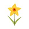 Cute yellow daffodil flower with leaves isolated white background botanical clipart 361363 441