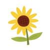 Cute yellow sunflower with leaves isolated on white background illustration in hand drawn flat style perfect for cards logo decorations spring and summer designs botanical clipart vector