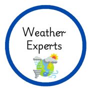 Weather Experts Website Button
