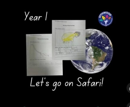 Year 1 lets go on safari