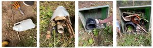 Bug hotel steps